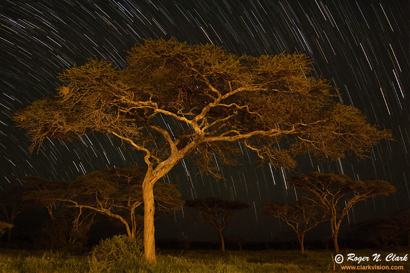 image ndutu.night.rnclark.c01.22.2007.jz3f0077-90max.cw-800.jpg is Copyrighted by Roger N. Clark, www.clarkvision.com