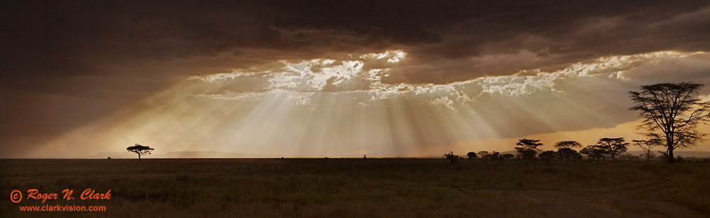 image serengeti_c01.19.2009.img_0590-3.c-1000.jpg is Copyrighted by Roger N. Clark, www.clarkvision.com