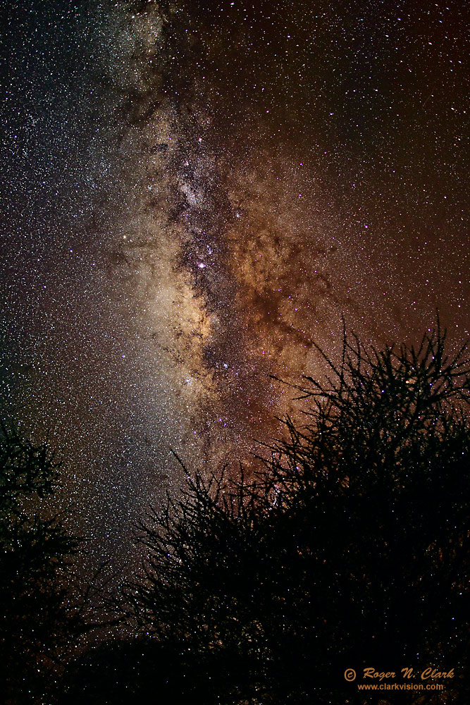 image milky.way.tarangire.c08.13.2012.C45I8391.c-1000v.jpg is Copyrighted by Roger N. Clark, www.clarkvision.com