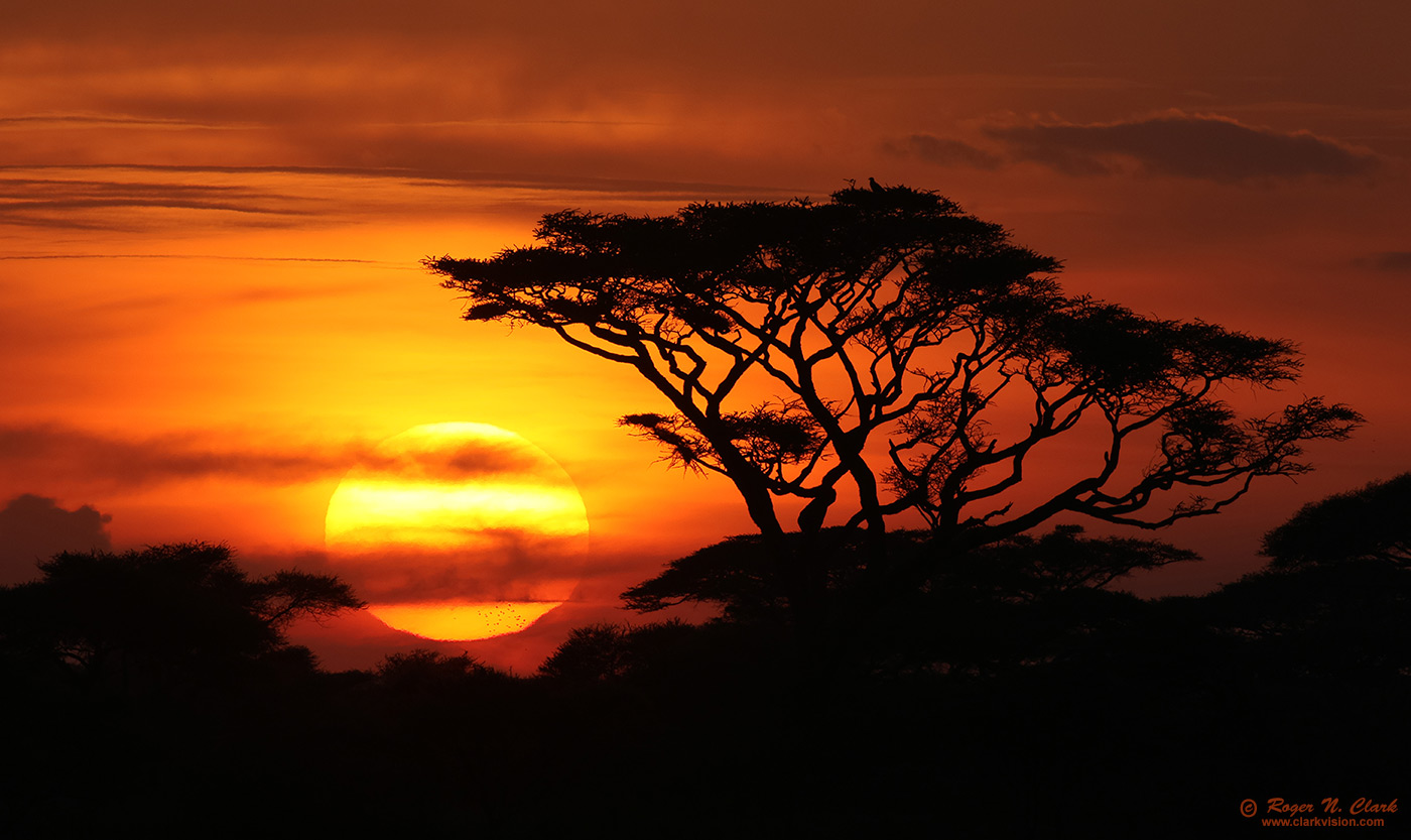 image serengeti-sunset-c02-16-2024-0U3A1058-b-1400s.jpg is Copyrighted by Roger N. Clark, www.clarkvision.com